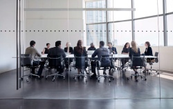 Risky Business: For-Profit D&O Liability, Part 1 course image